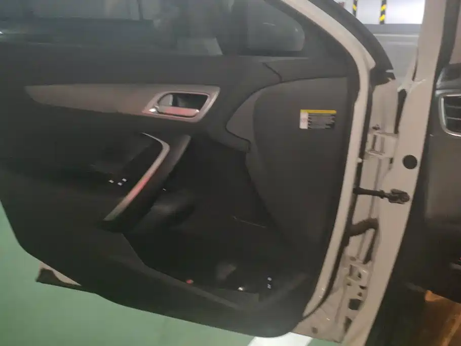 DS DS 5LS — миниатюра 7