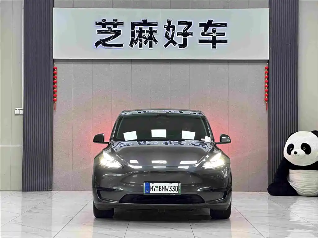 Tesla Model Y — миниатюра 2