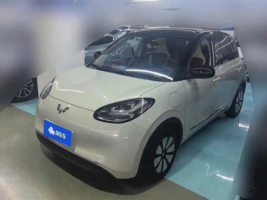 Wuling Binguo