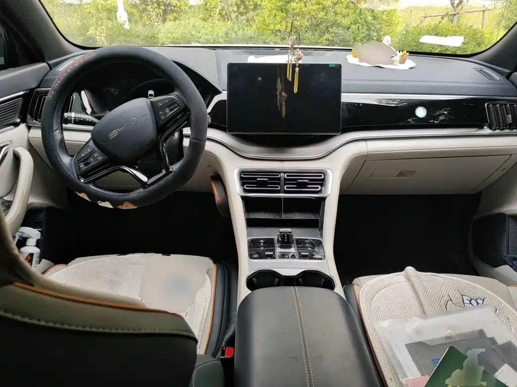 BYD PLUS New Energy — миниатюра 5