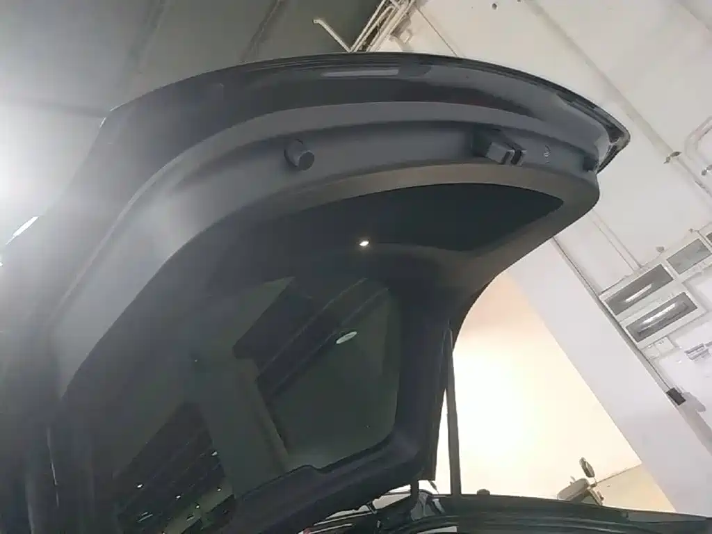 Tesla Model Y — миниатюра 19