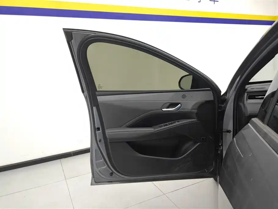 BYD Qin Plus PLUS 2025 DM-i Smart Drive 55KM Lead