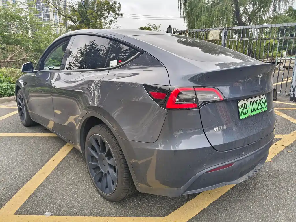 Tesla Model Y — миниатюра 5