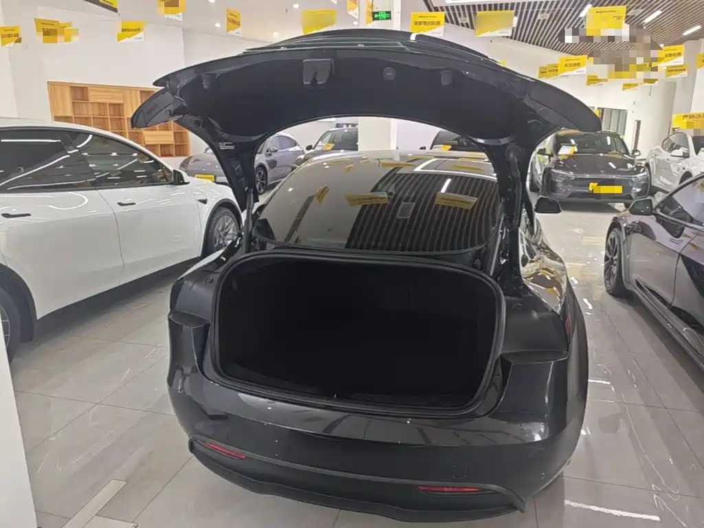 Tesla Model 3 — миниатюра 19