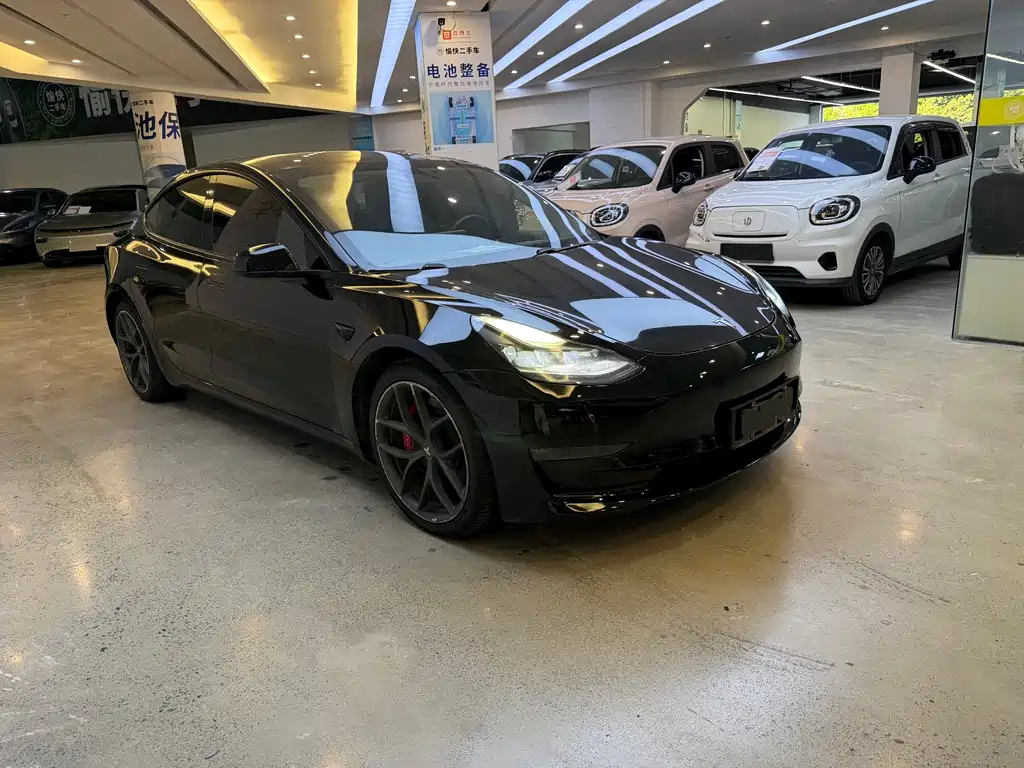 Tesla Model 3 — миниатюра 3