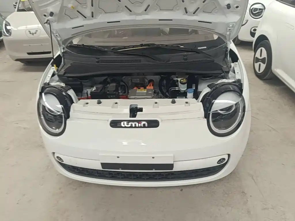 Qiyuan Lumin — миниатюра 20