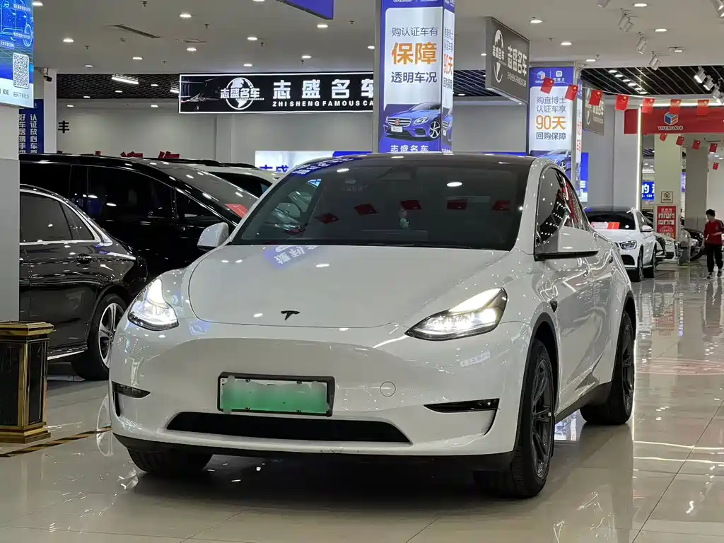 Tesla Model Y 2024 Long Range AWD Edition