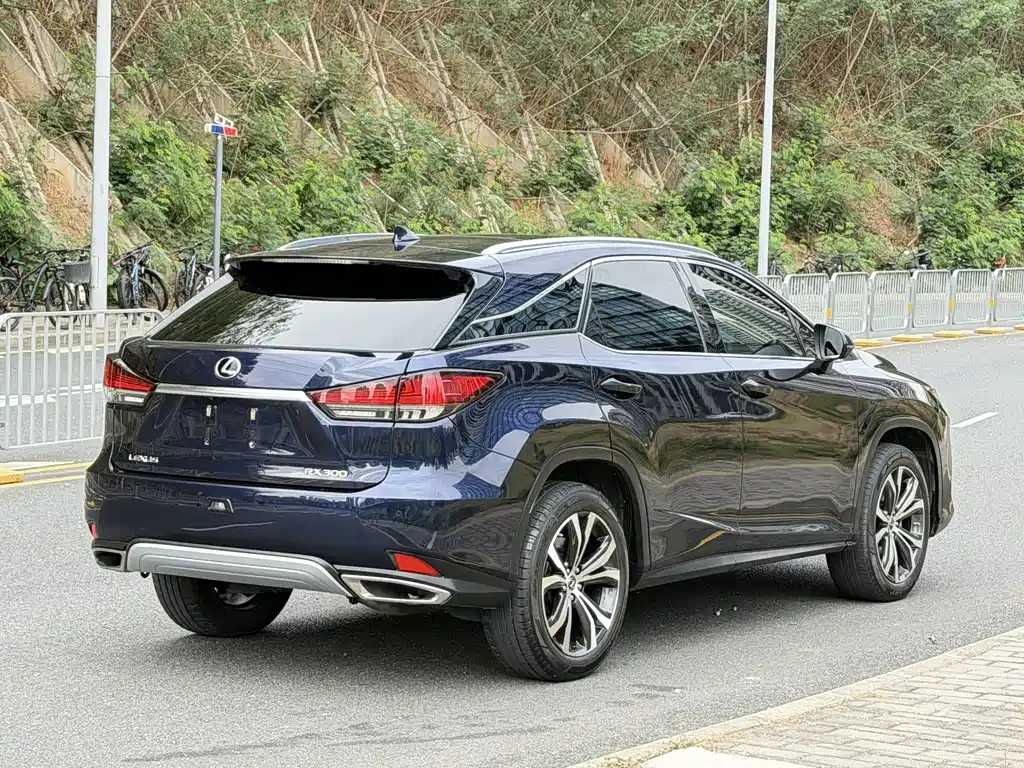 LEXUS RX