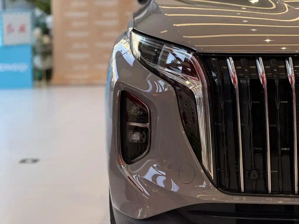 Hongqi Hongqi HS7 PHEV — миниатюра 9