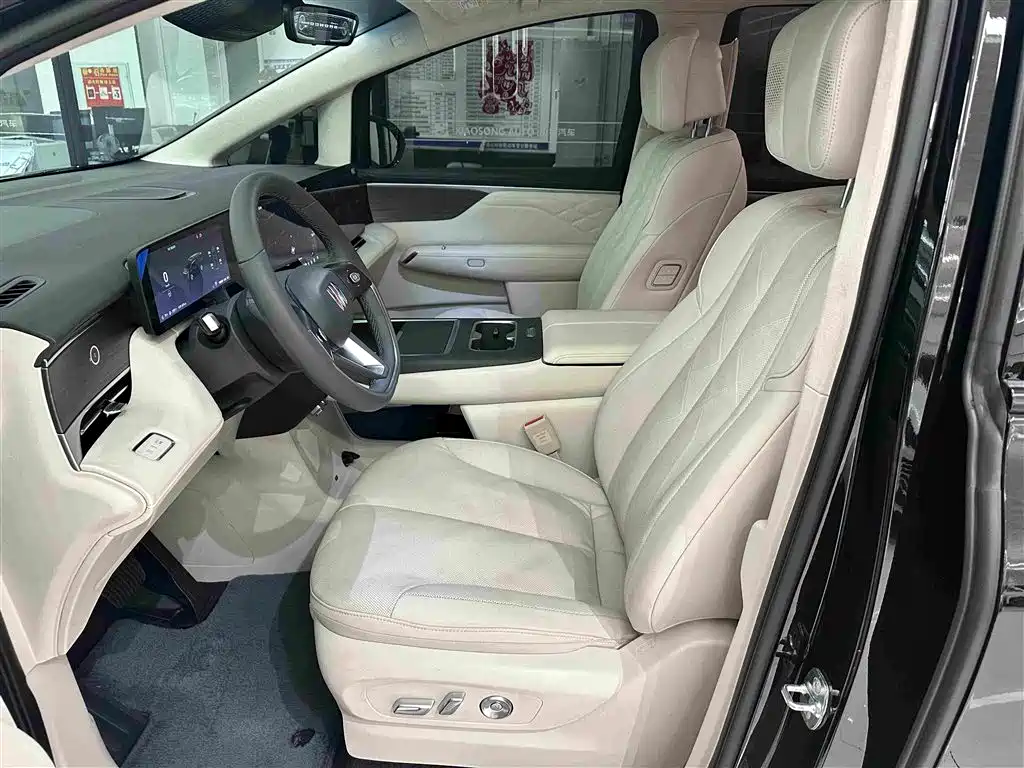 Buick Electra Encasa — миниатюра 12