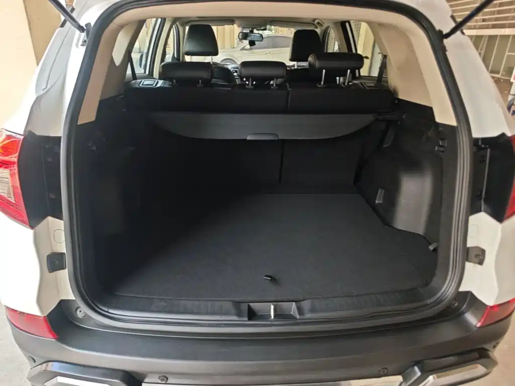 BYD Song — миниатюра 19