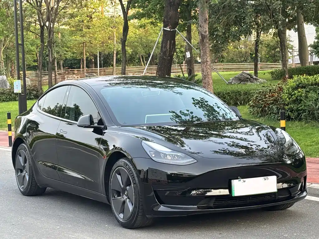 Tesla Model 3 — миниатюра 3