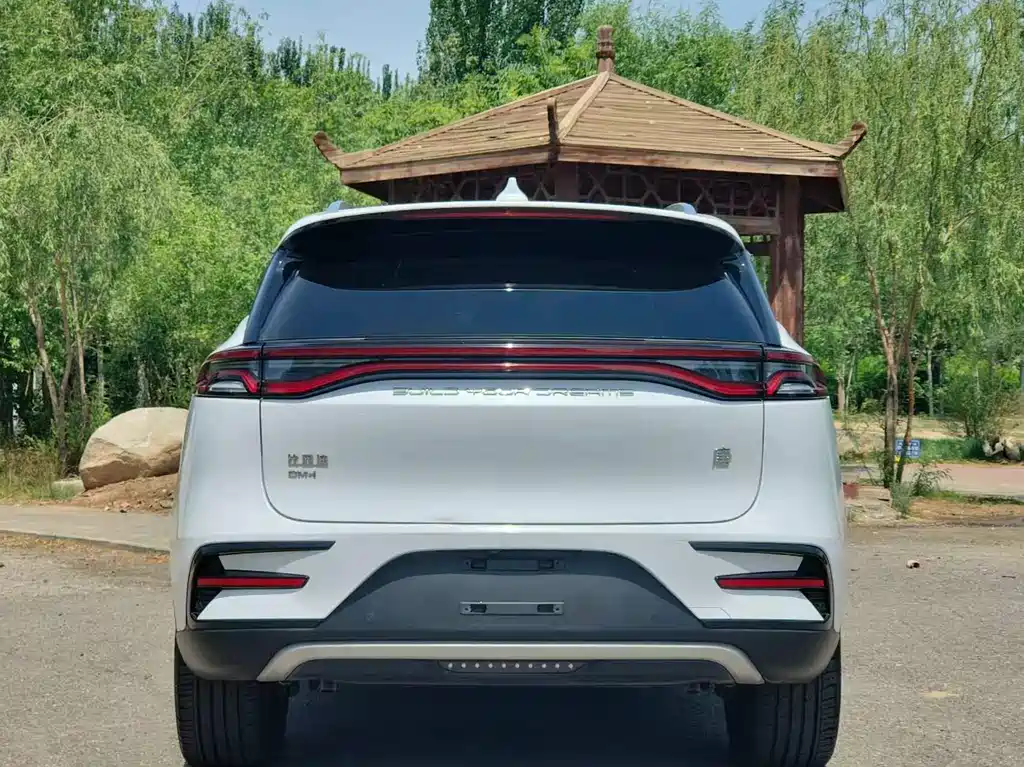 BYD Tang New Energy - фото 8