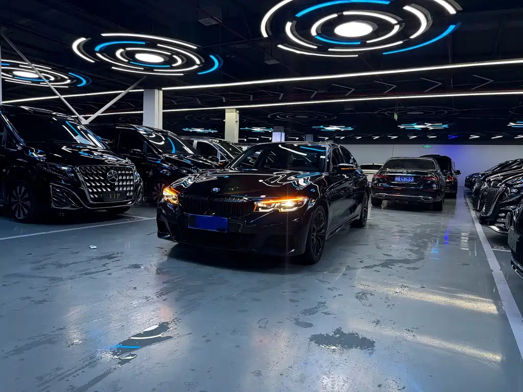 BMW 3 Series 2019