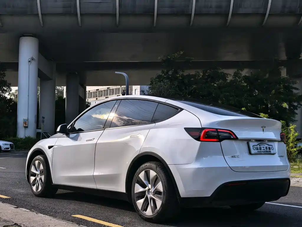 Tesla Model Y — миниатюра 10