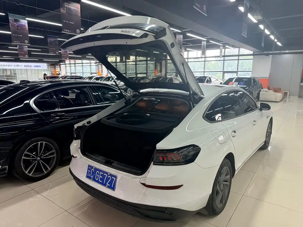Volkswagen Lamando — миниатюра 7
