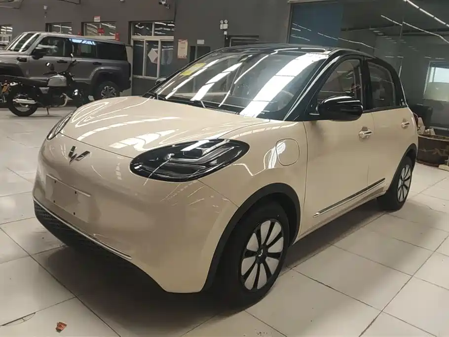 Wuling Binguo