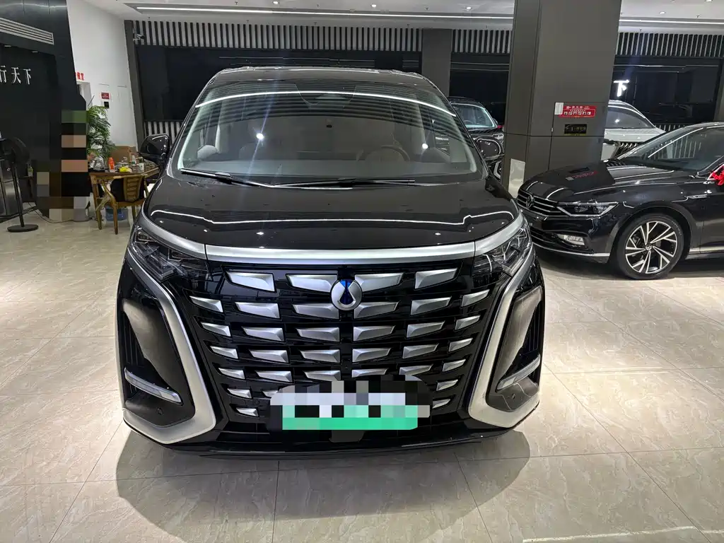 Denza Denza D9 — миниатюра 2