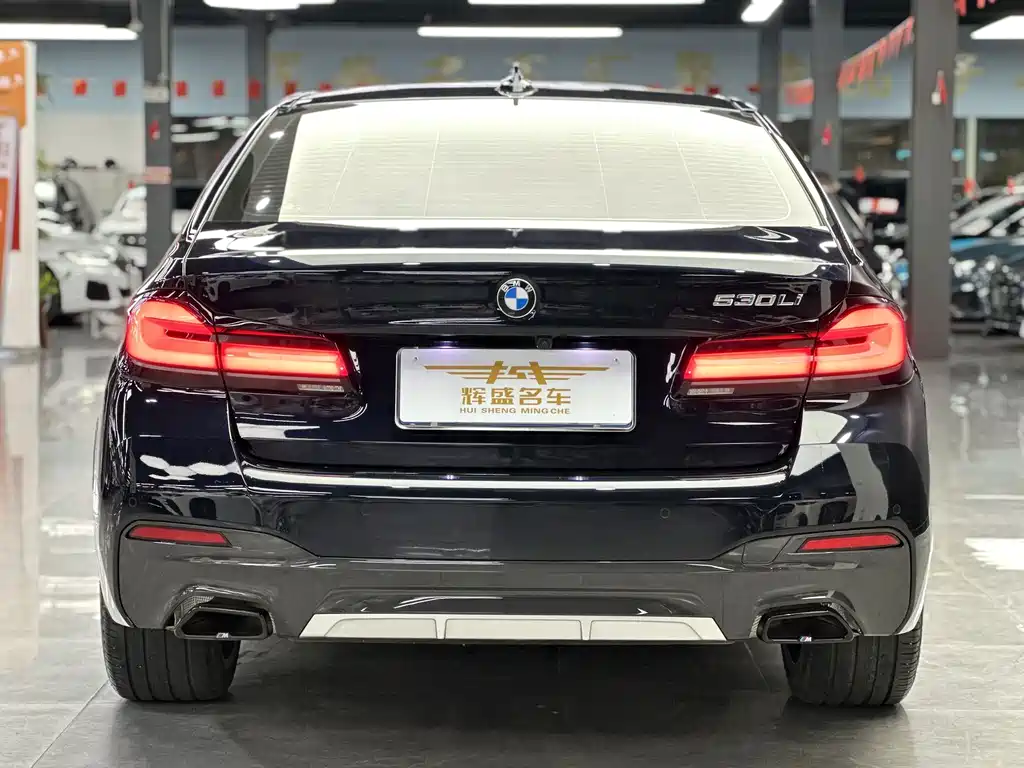 BMW 5 Series — миниатюра 4