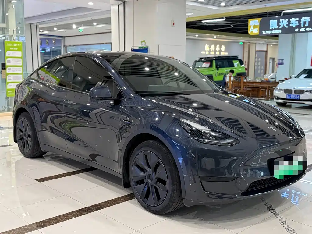 Tesla Model Y — миниатюра 3