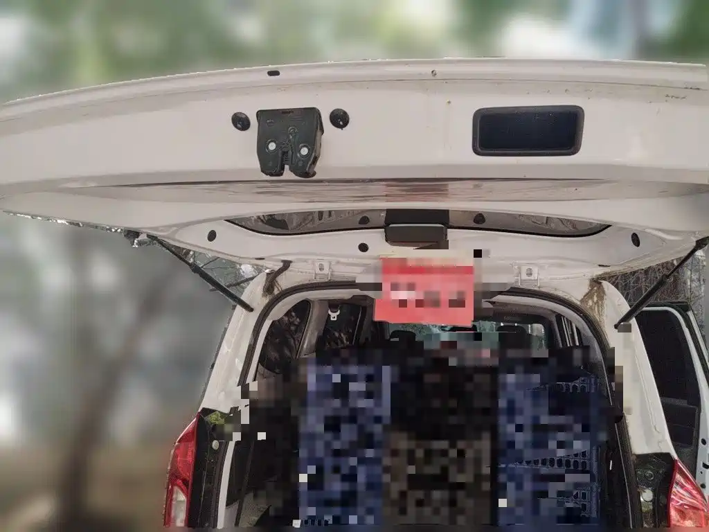 Wuling Hongguang EV — миниатюра 15