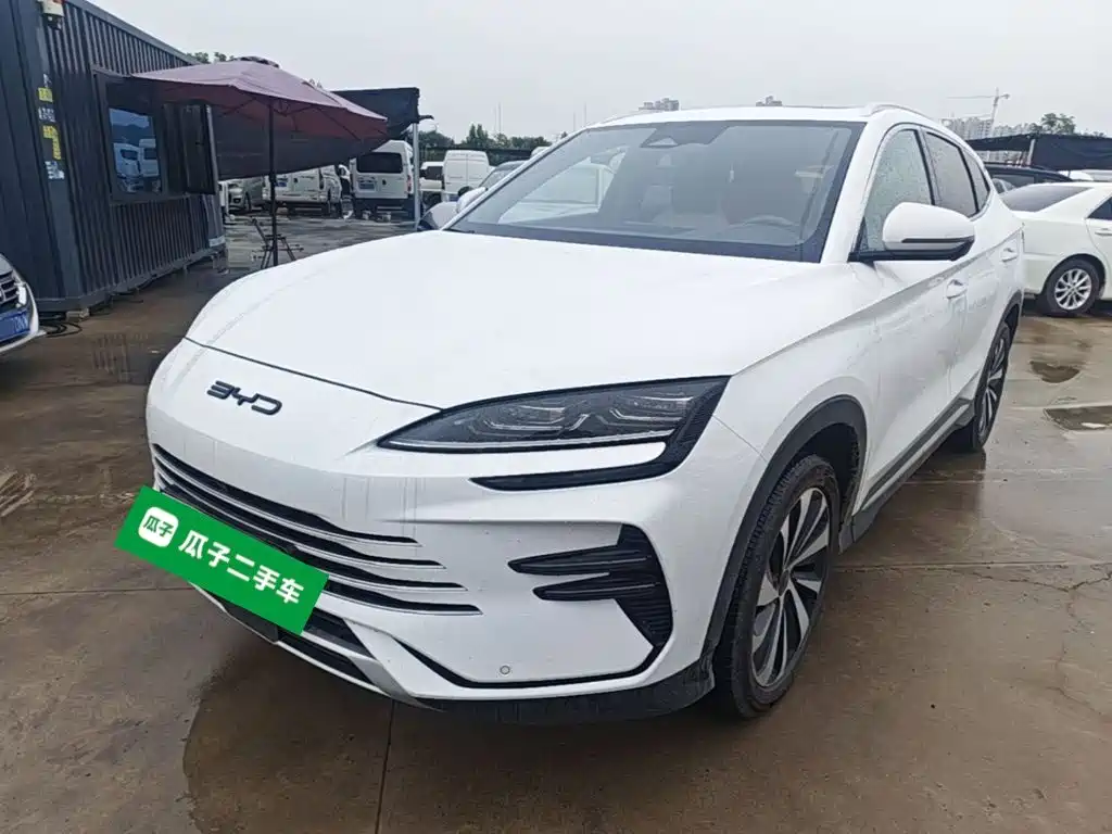 BYD PLUS New Energy — миниатюра 2