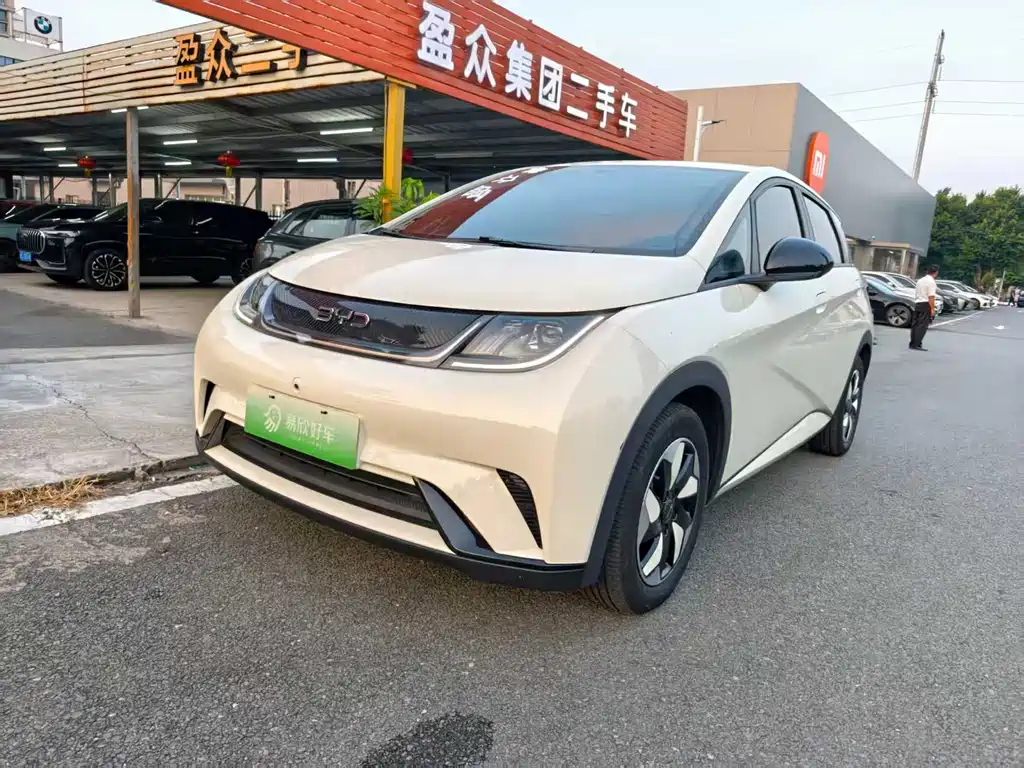 BYD Dolphin