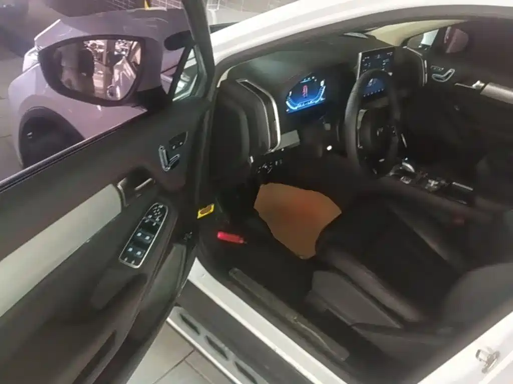 BYD Tang New Energy — миниатюра 16