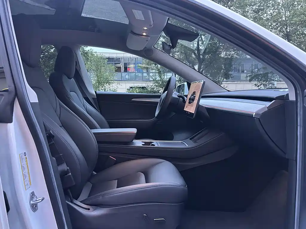 Tesla Model Y — миниатюра 10