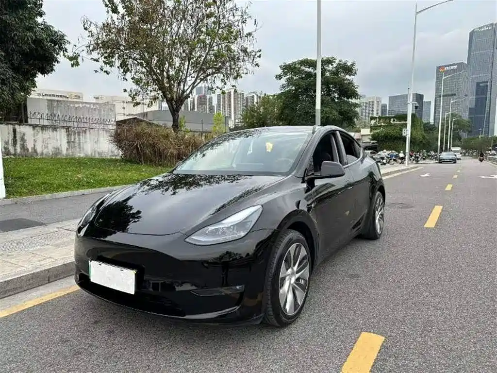 Tesla Model Y 2021 Long Range AWD Edition 3D7