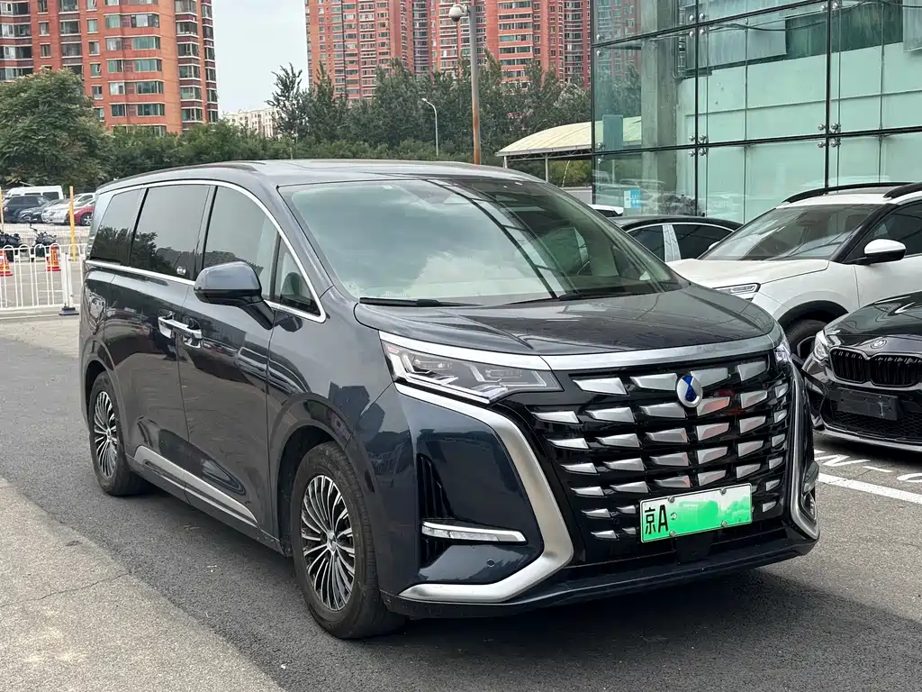 Denza Denza D9 — миниатюра 3