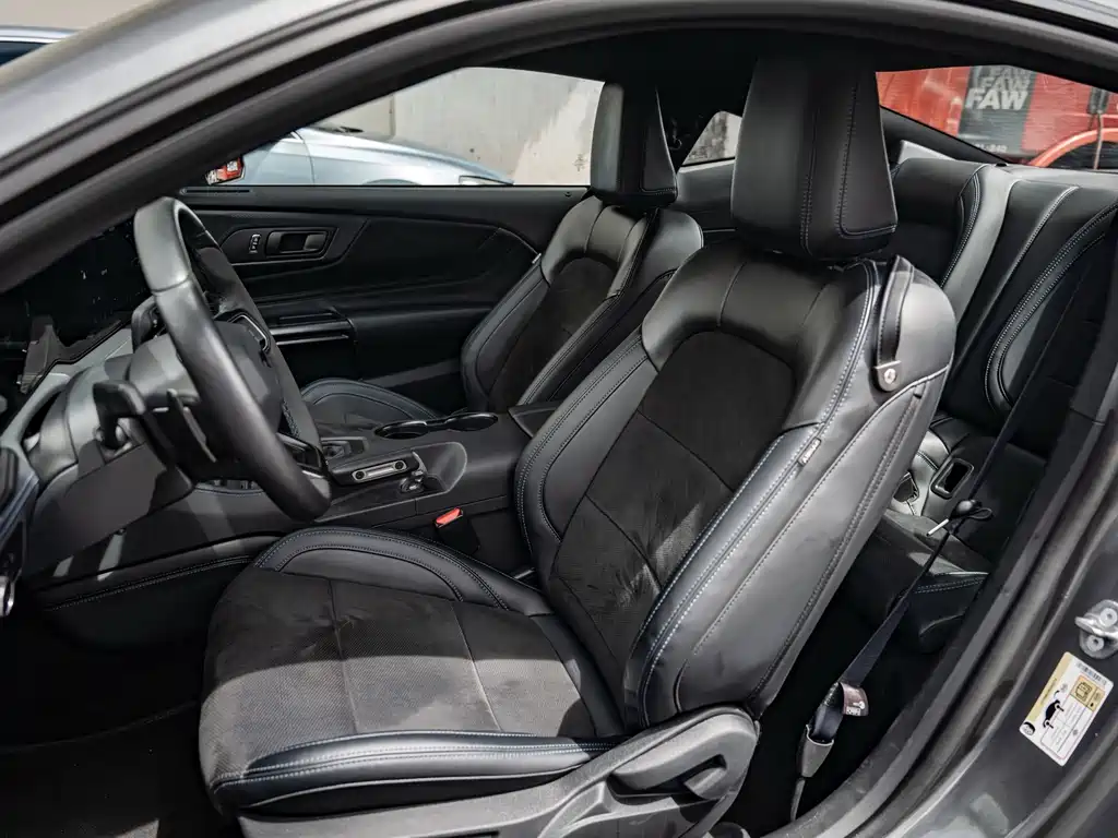 Ford Mustang 5.0L V8 Dark Horse, фото 19