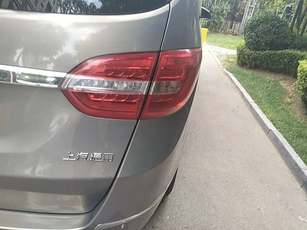 Buick GL8 — миниатюра 8