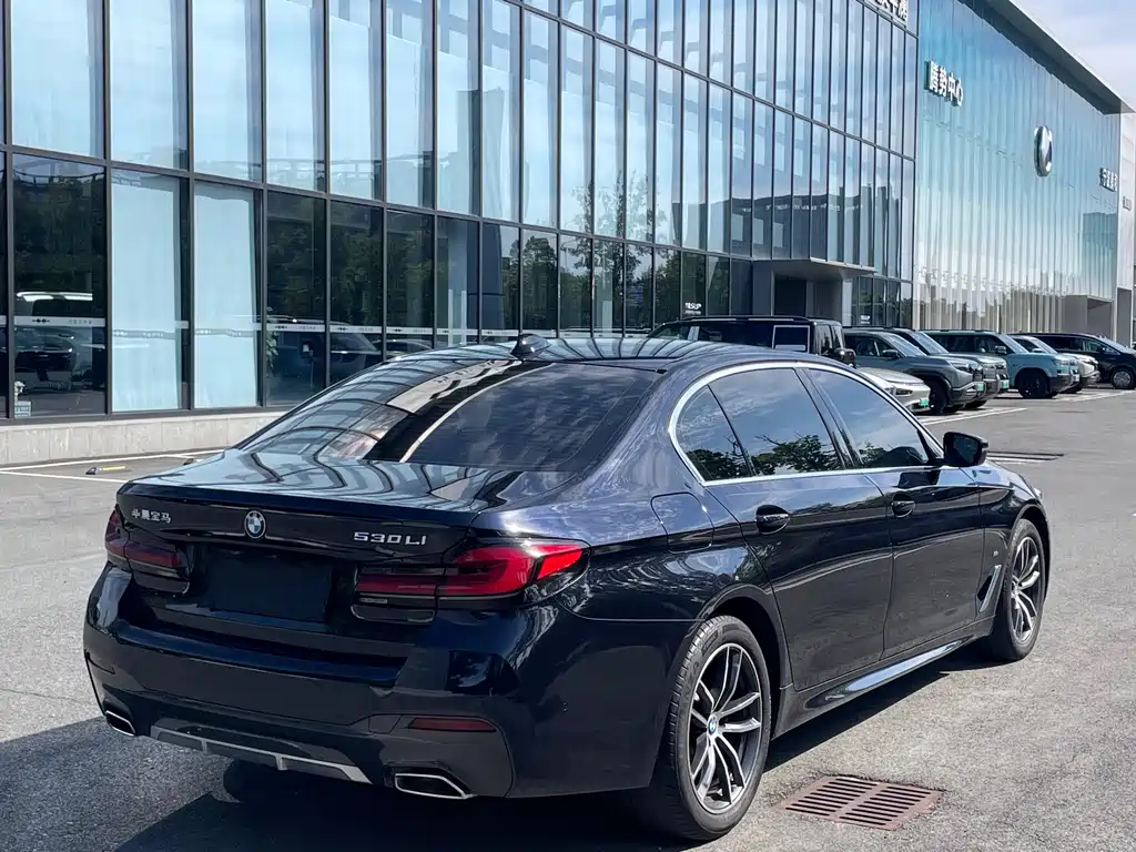 BMW 5 Series — миниатюра 16