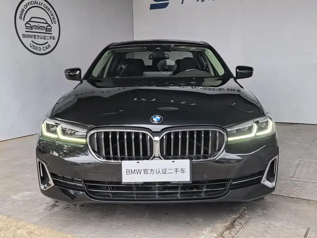 BMW 5 Series 5 2021 530Li Lead Luxury