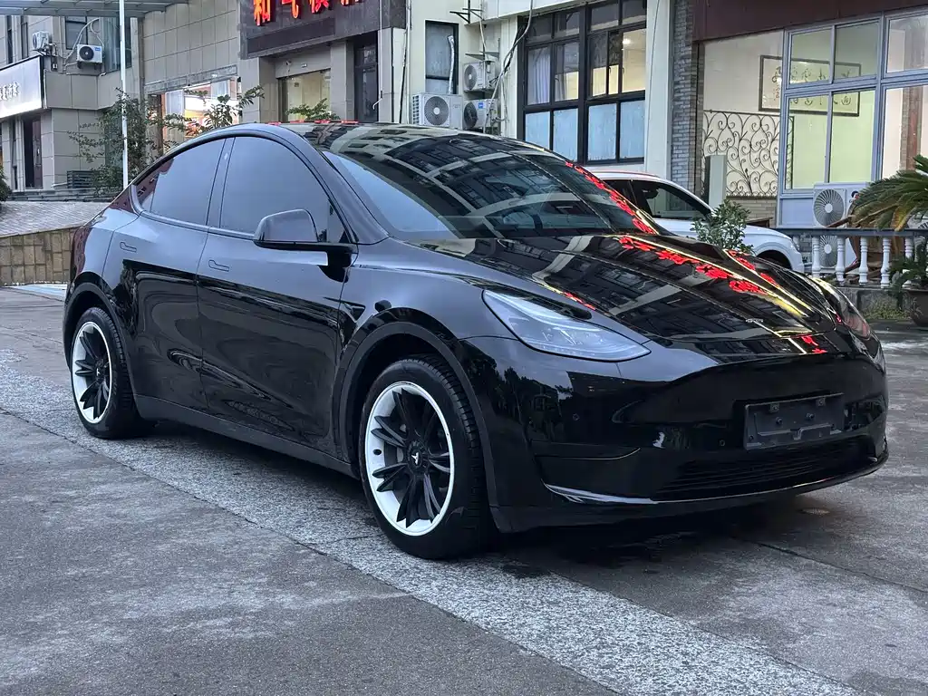 Tesla Model Y — миниатюра 3