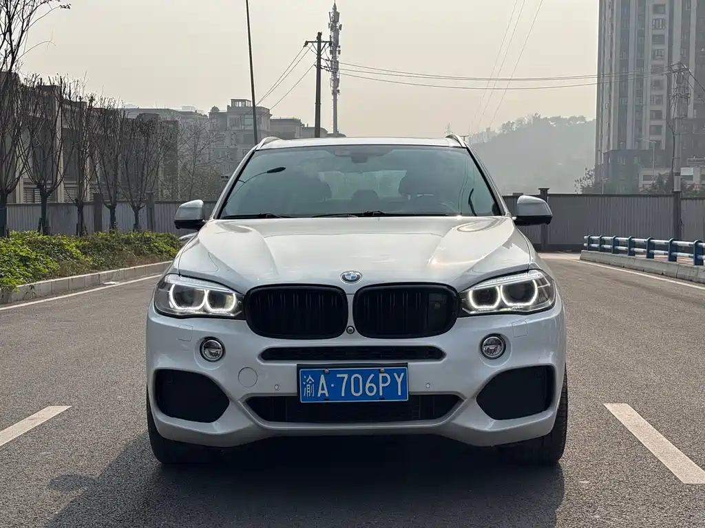 BMW X5 (Import) — миниатюра 2