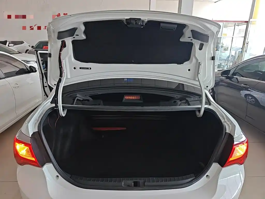 BYD F3 — миниатюра 19
