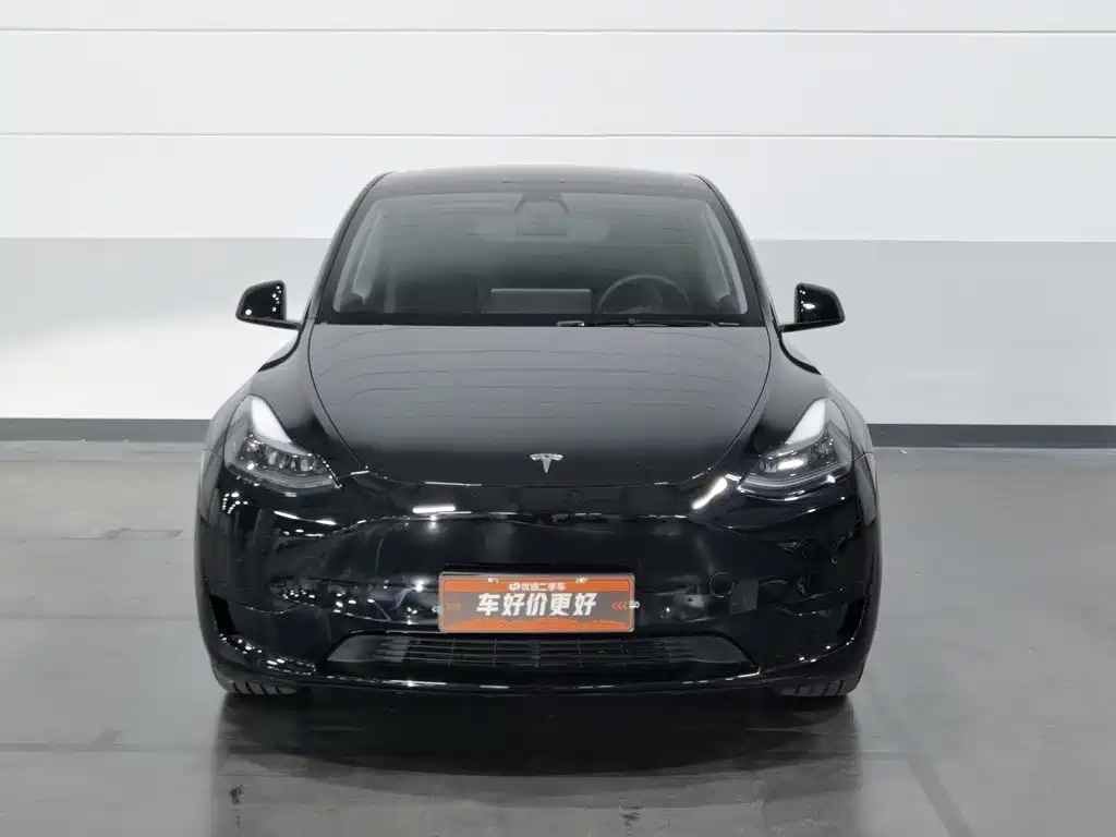 Tesla Model Y — миниатюра 3