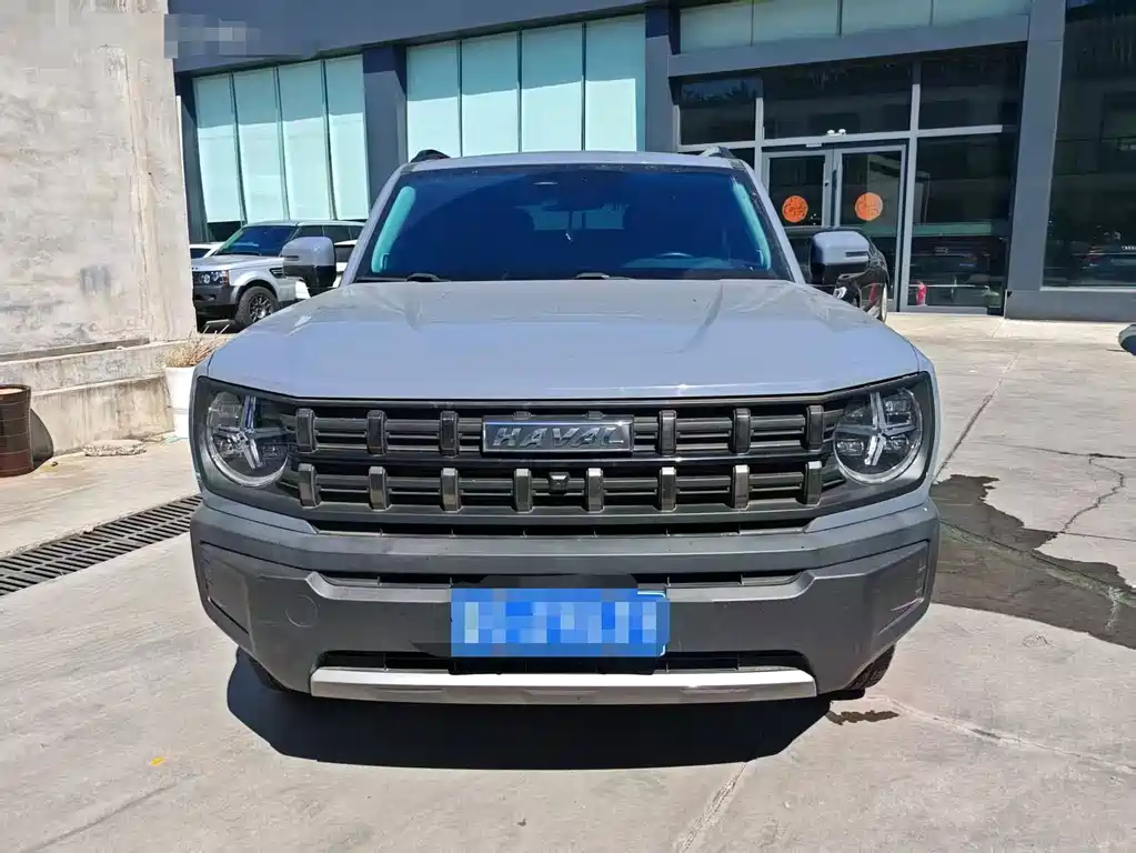 Haval Cool Dog — миниатюра 5