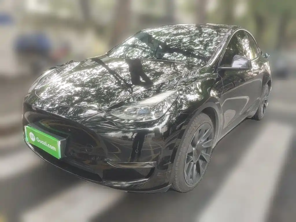 Tesla Model Y 2021 Standard Range RWD Edition