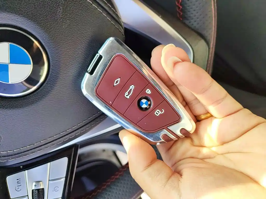 BMW 5 Series 5 2020 530Li xDrive Luxury