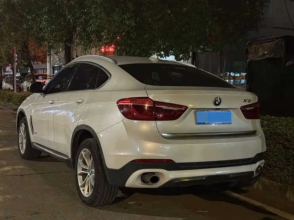 BMW X6 — миниатюра 2