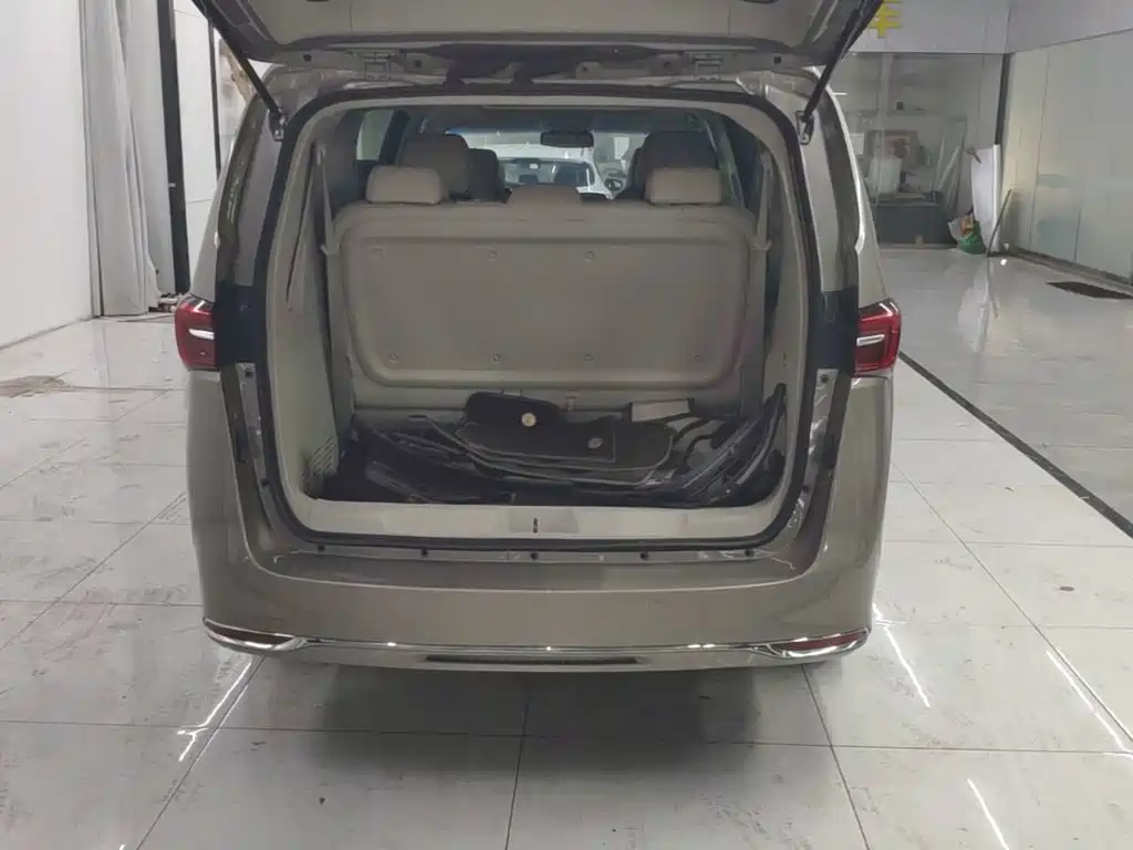 Buick GL8 — миниатюра 19