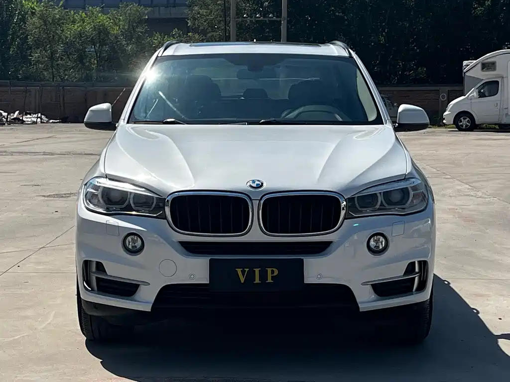 BMW X5 (Import) — миниатюра 2