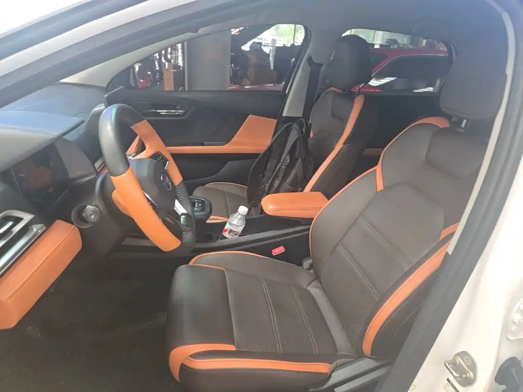 BYD e2 — миниатюра 15