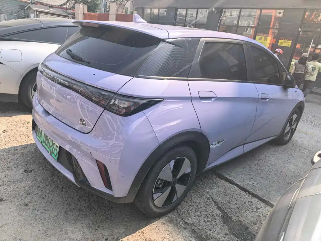BYD Dolphin — миниатюра 6