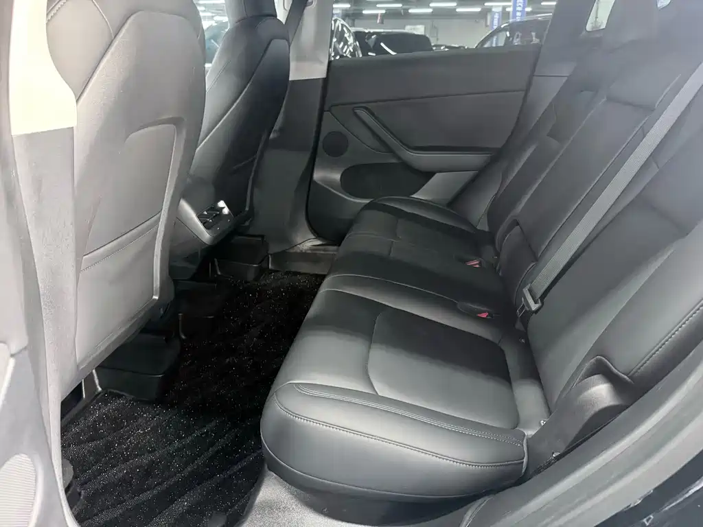 Tesla Model Y — миниатюра 8