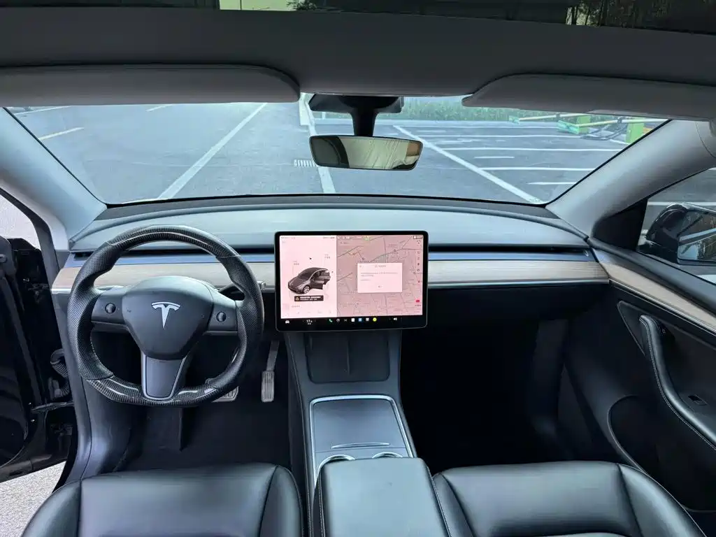 Tesla Model Y — миниатюра 9