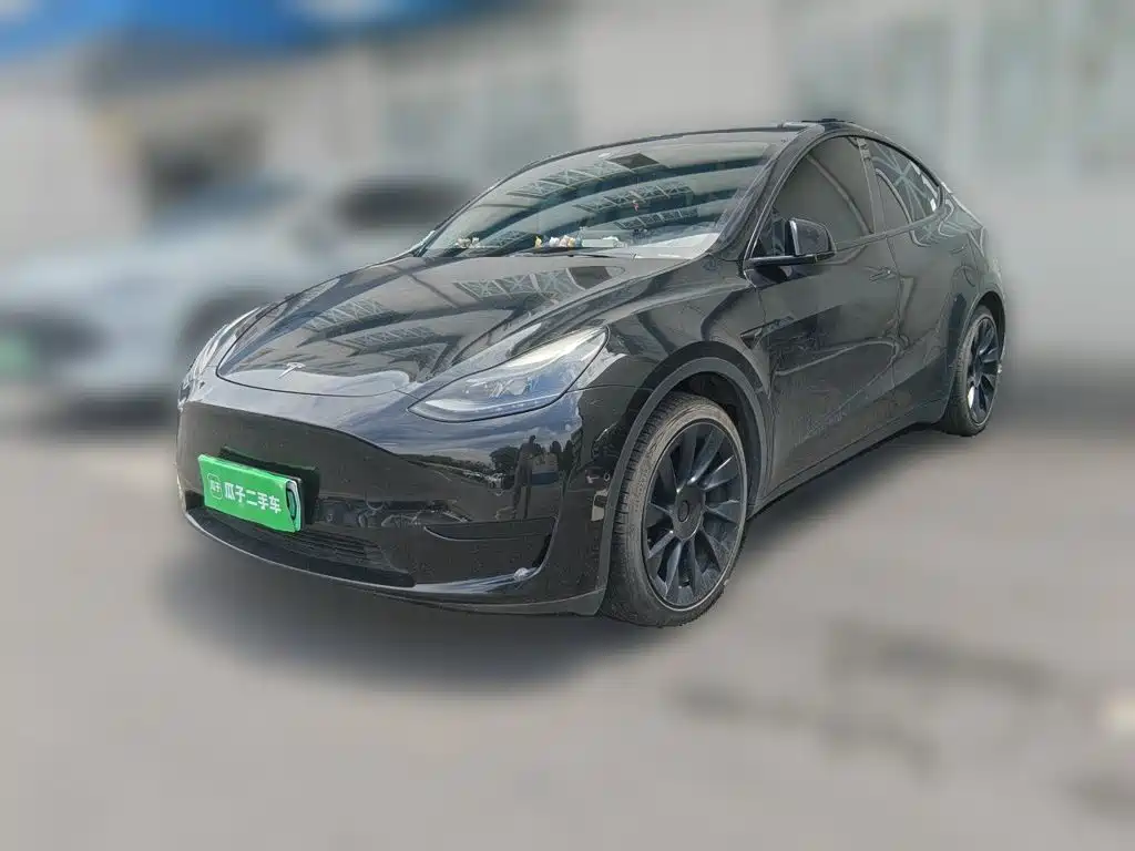 Tesla Model Y — миниатюра 2